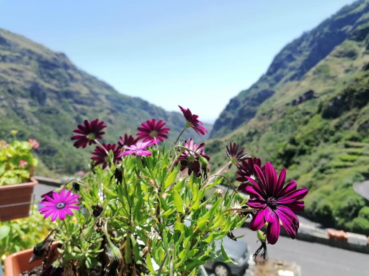 Green Valley House Madeira Ribeira Brava Εξωτερικό φωτογραφία